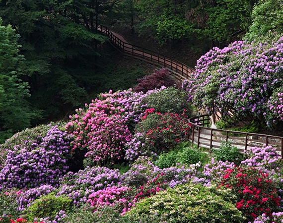 cosa fare e vedere ad biella feat - Viaggio in Italia