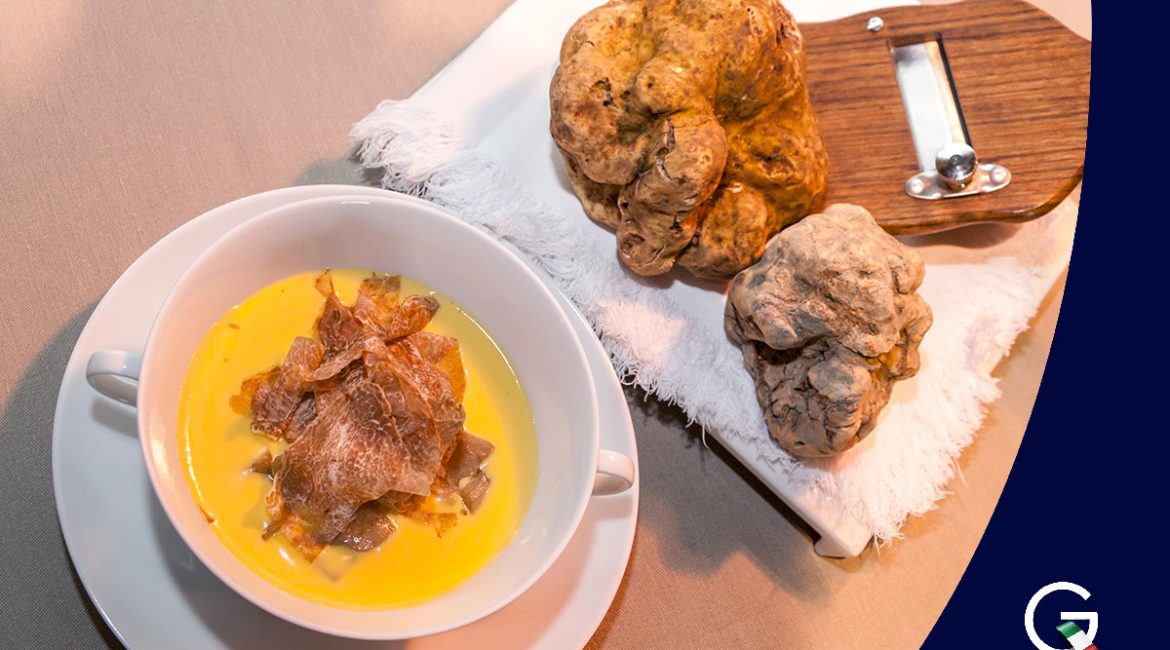 GO-ON-ITALY Piemonte fiera internazionale del tartufo bianco d'alba 2025